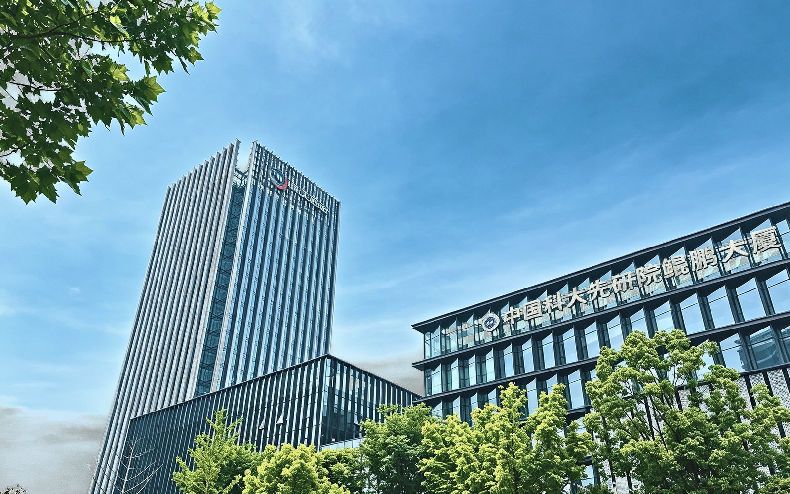 公司办公地外景照片